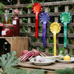 Pumpkins and Prizes