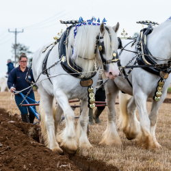 British National Ploughing Championships & Country Festival
