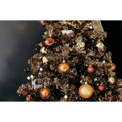 Christmas Day Celebration at Albright Hussey Manor