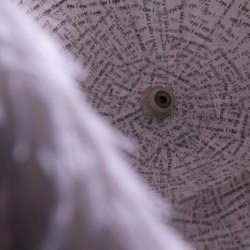 Charlotte Cooper: Eye, the Witness