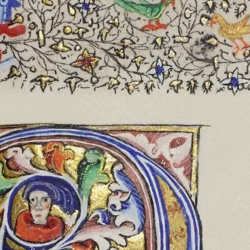 The Nature of Gothic