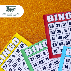 Festive Bingo Bash at Last Drop Village Hotel & Spa