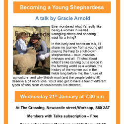 Becoming a Young Shepherdess