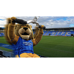 Shrewsbury Town FC Foundation Zipline Challenge