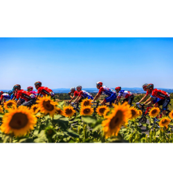 MATT RENDELL's Inside stories of the Tour de France