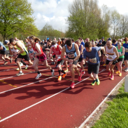 3 Bridges Running Race