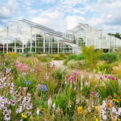 RHS Garden Wisley Wedding Showcase