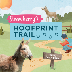 Strawberry’s Hoofprint Trail