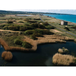 World Wetlands Day Mini Festival