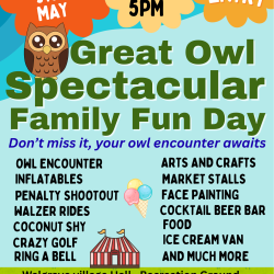 Great Owl Spectacular Family Fun Day