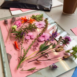 Spring Botanical Cyanotype