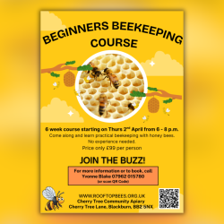 Beginners Beekeeping Course, Blackburn