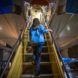 Defying Gravity this Easter at the Fleet Air Arm Museum