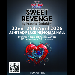Sweet Revenge Murder Mystery 22/4