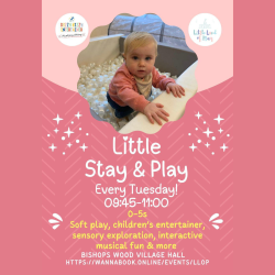 Dizzy Kizzy Entertainer Little Stay & Play