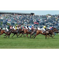 Dingley Races (Point to Point) - 2026