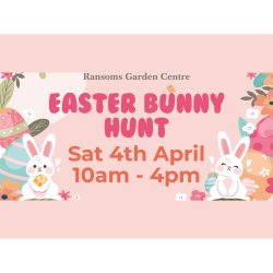 Ransoms Easter Bunny Hunt