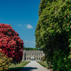 Boconnoc Open Garden 2026