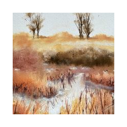 Kirstie Edwards First Solo Exhibition