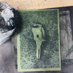 Creative Inking Techniques in Photopolymer - Masterclass with Bev Hayes