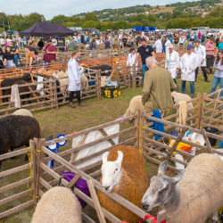 Keighley & District Agricultural Show