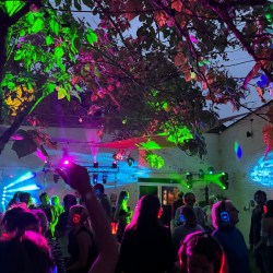 Silent DIsco at Leonardslee