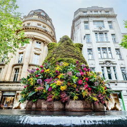 The Manchester Flower Festival Floral Trail