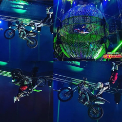 Circus Extreme