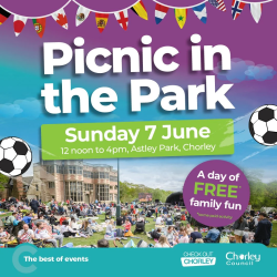 Picnic in the Park 2026