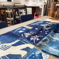 Summer Botanical Cyanotype