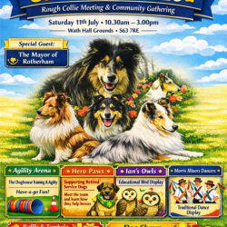Collie Chaos 2026