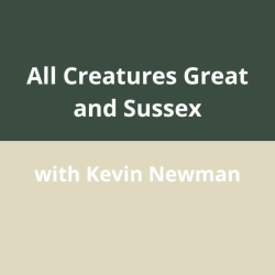 All Creatures Great & Sussex – A Family Talk on Animals from Sussex’s Past
