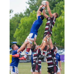 Taunton Titons RFC  Home Fixtures