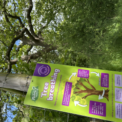 Summer Adventure Trail at Langley Vale Wood