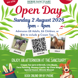 Open Day at Remus Memorial Horse Sanctuary