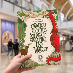 St David’s Cardiff to host storytelling trail and workshops with Welsh author