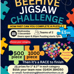 The Great Beehive Jigsaw Challenge