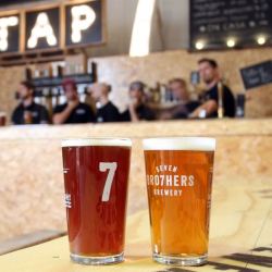 SEVEN BRO7HERS Brewery Tour & Tasting