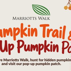 Pumpkin Trail & Pop Up Pumpkin Patch