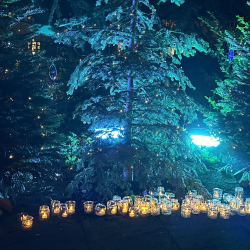 Lights of Life 2026
