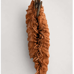 Artist-led workshops with Abraham Cole