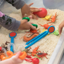 Little Monsters Play