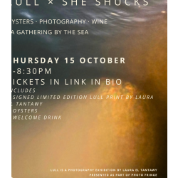 LULL x She Shucks - Photography wine & oysters