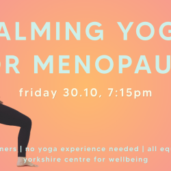 Calming Yoga for Menopause Workshop with Holly