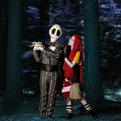 A visit from the Pumpkin King and Halloween Ragdoll