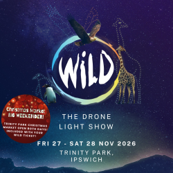 Drone Light Show