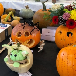 Bream Autumn Show