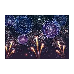 Wyvern Firework Display