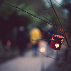 Lantern Walk 