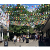 Shrewsbury Belle Vue Arts Festival 2025
